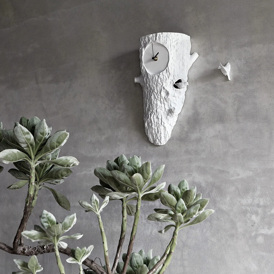 Cuckoo - Tree - Image 6