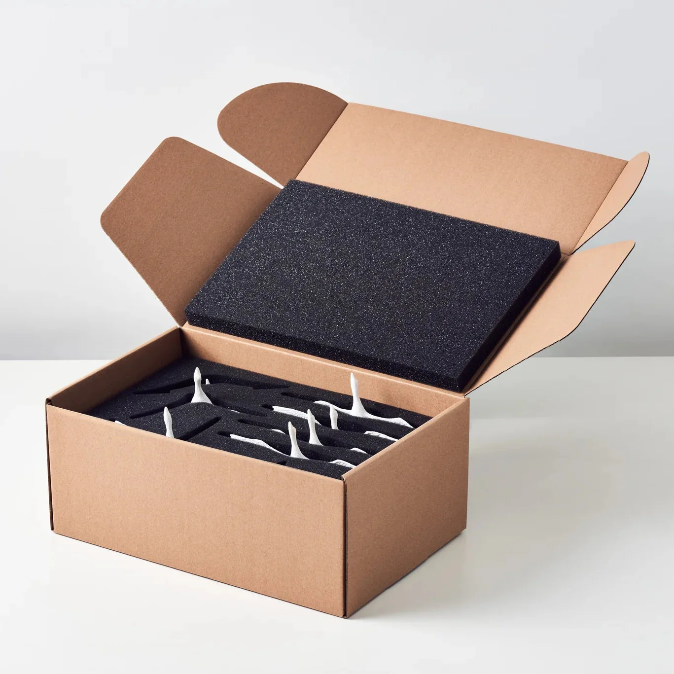 Migrantbird C Form - Image 10