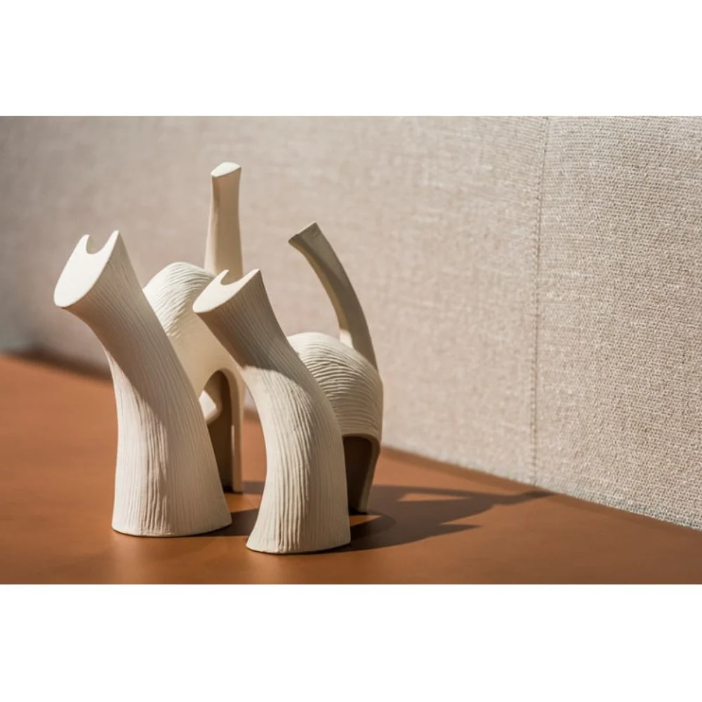 Darius White - Image 4