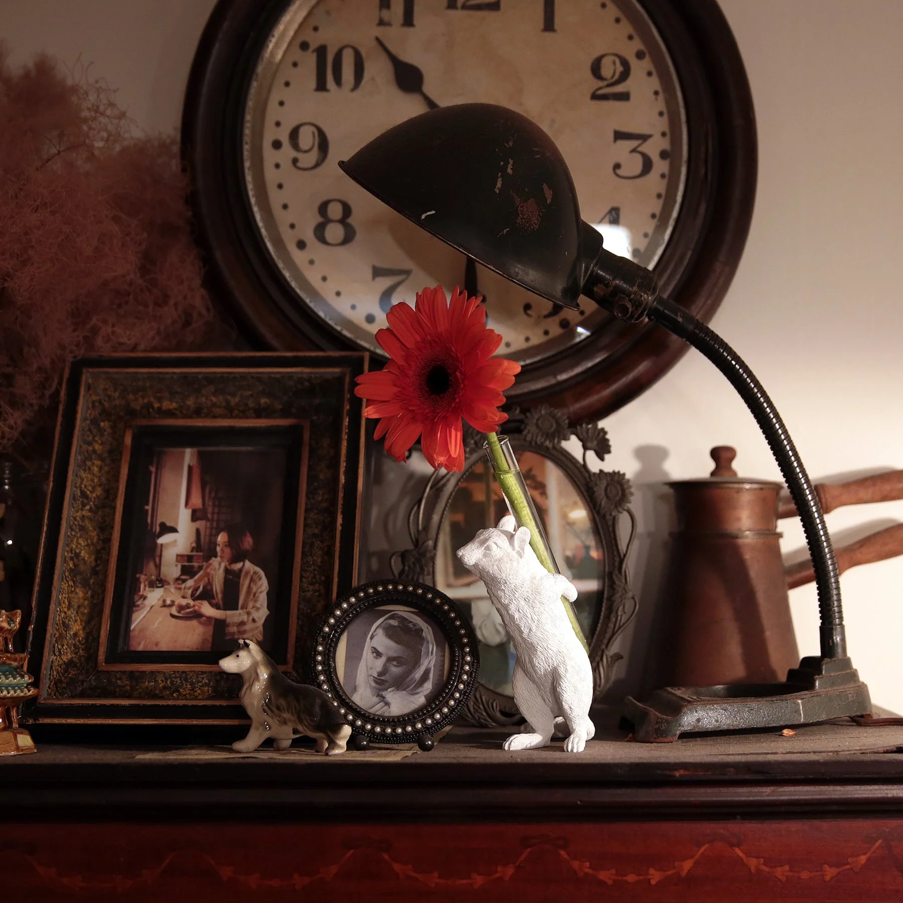 Chipmunk Carry on Back 03 - Image 6