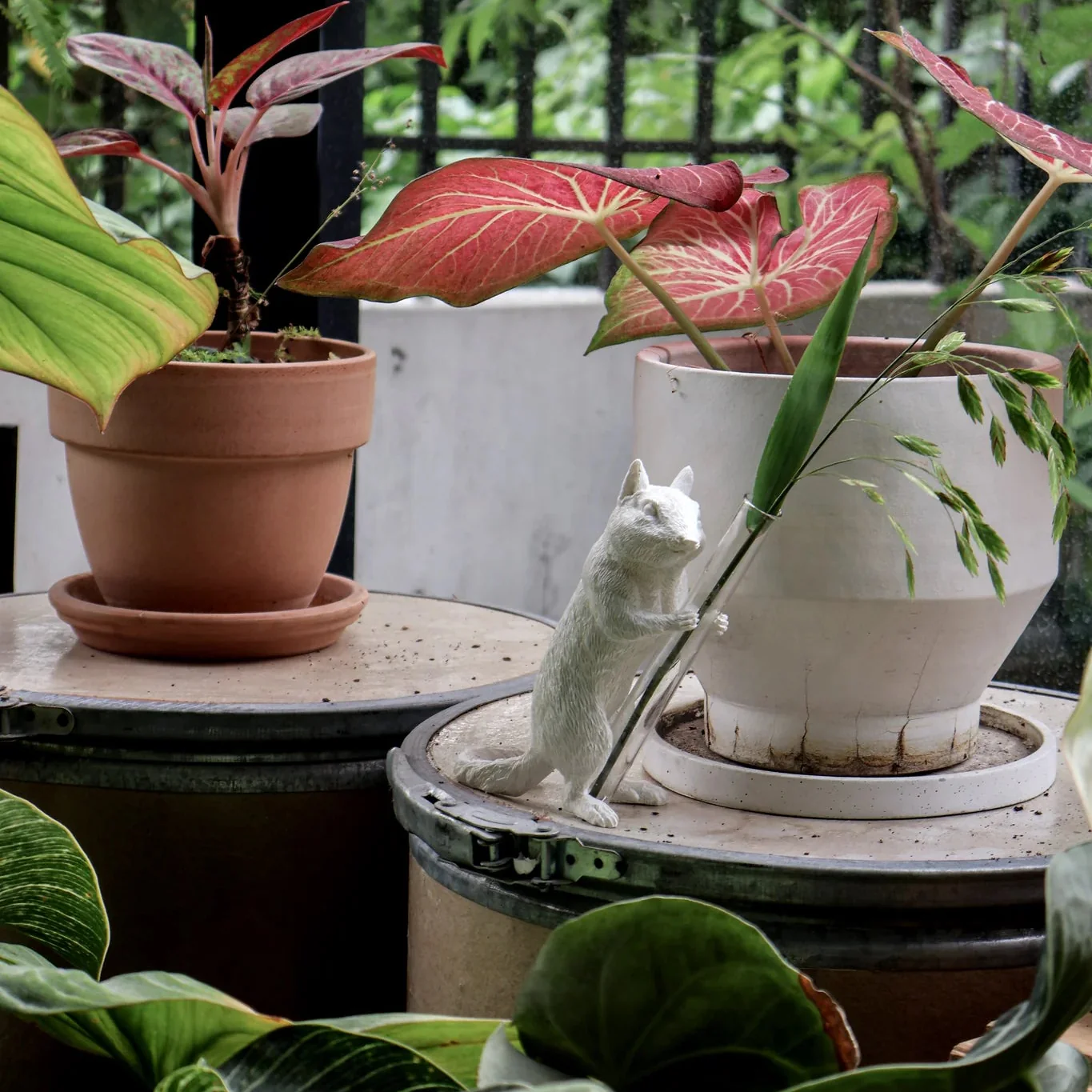 Chipmunk Hold 02 - Image 11