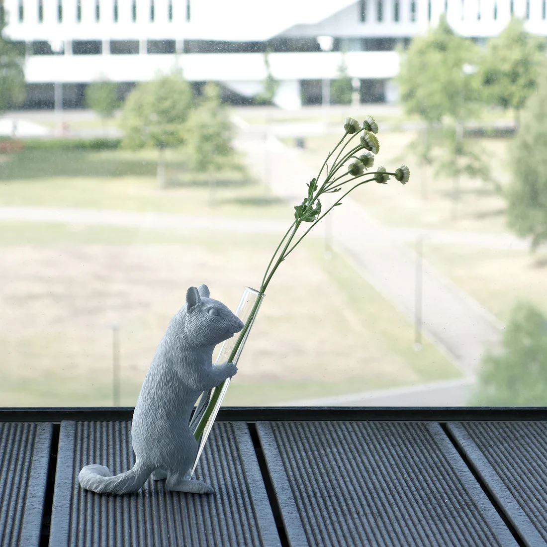 Chipmunk Hold 02 - Image 6