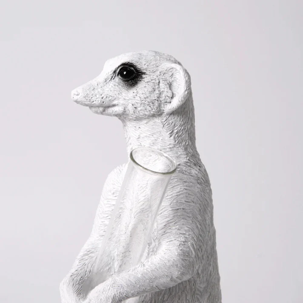 Meerkat Sit 02 - Image 8