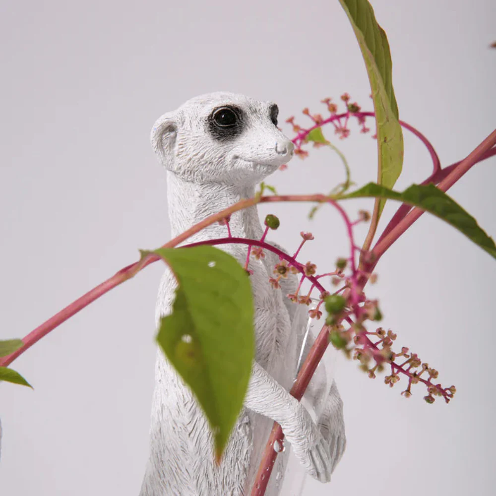 Meerkat Stand 01 - Image 8