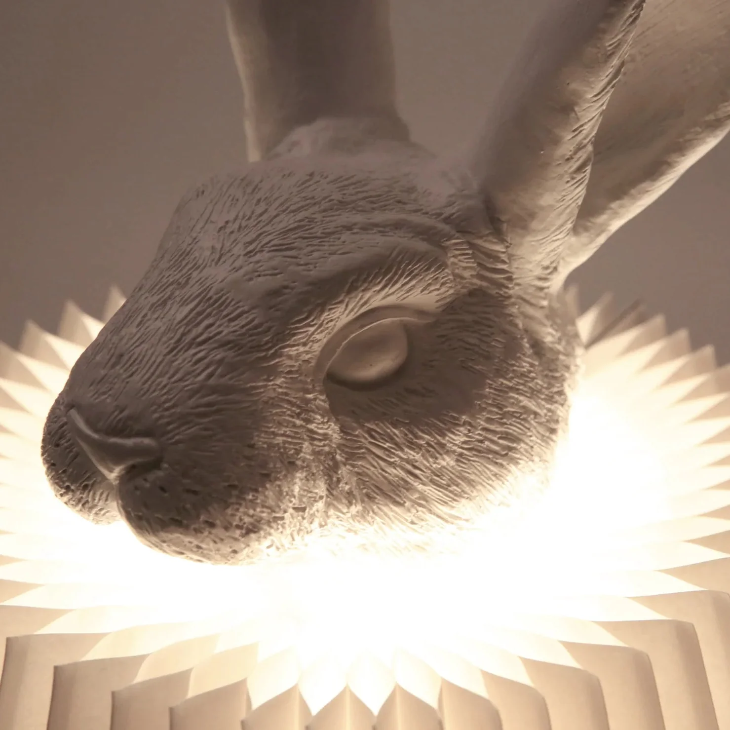 Rabbit Stand - Image 12