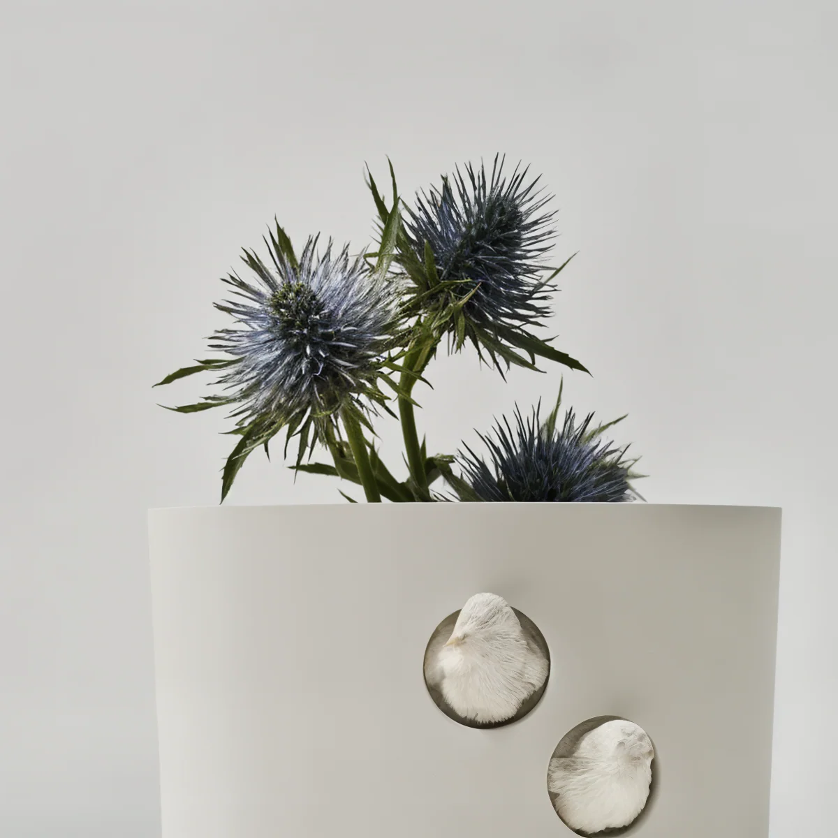 Sparrow Grand - Image 4