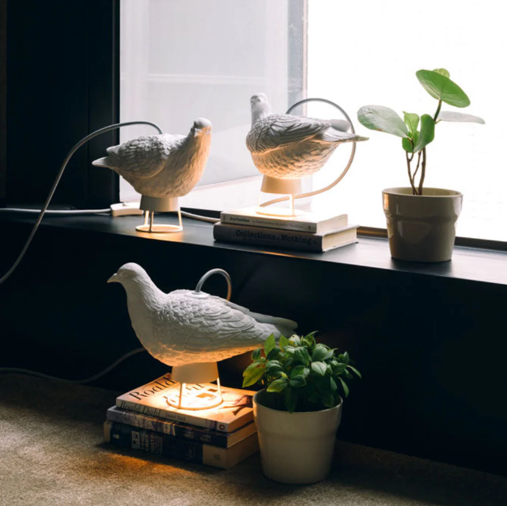 Dove X Light 02 - Image 5