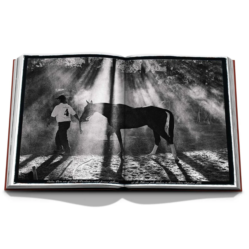 Polo Heritage - Image 5