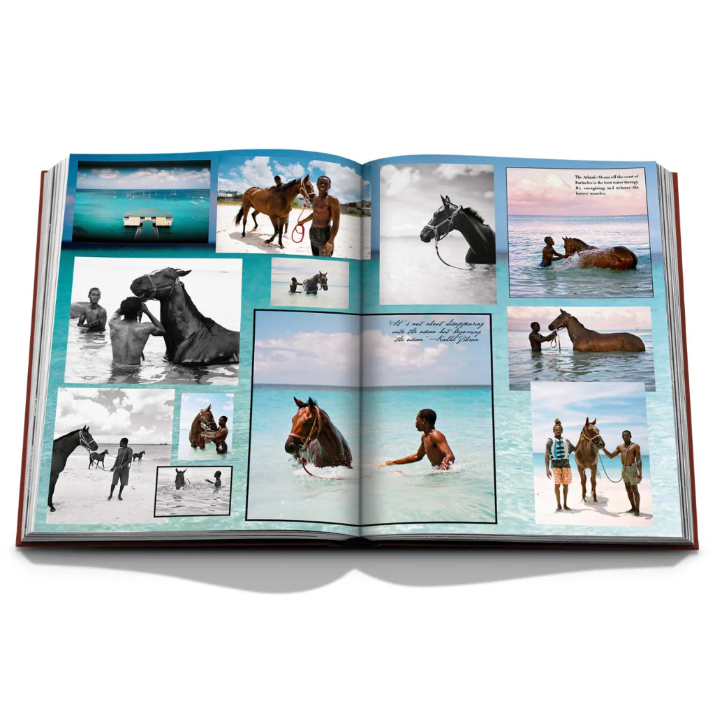 Polo Heritage - Image 8