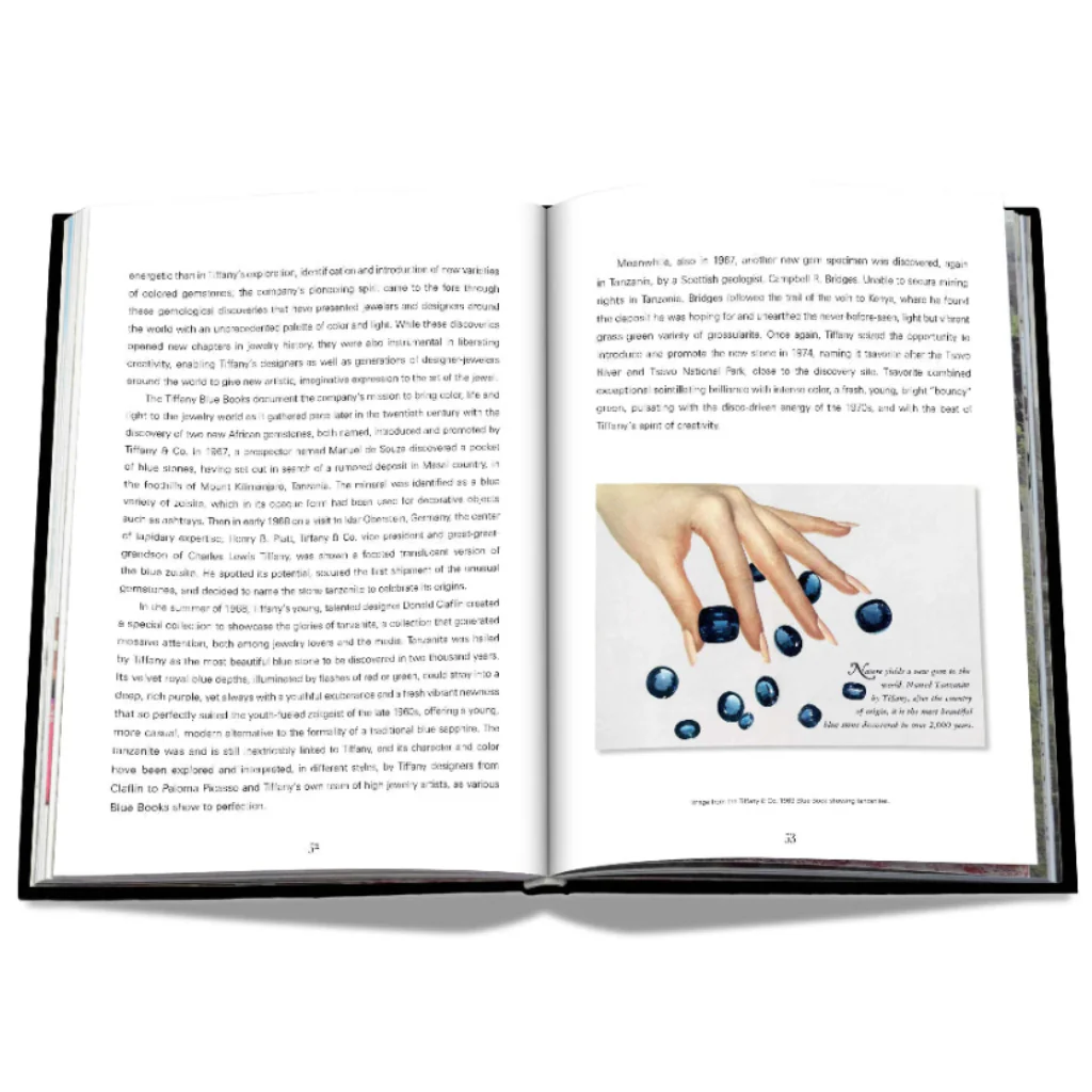 Tiffany & Co. Vision and Virtuosity (Icon Edition) - Image 3